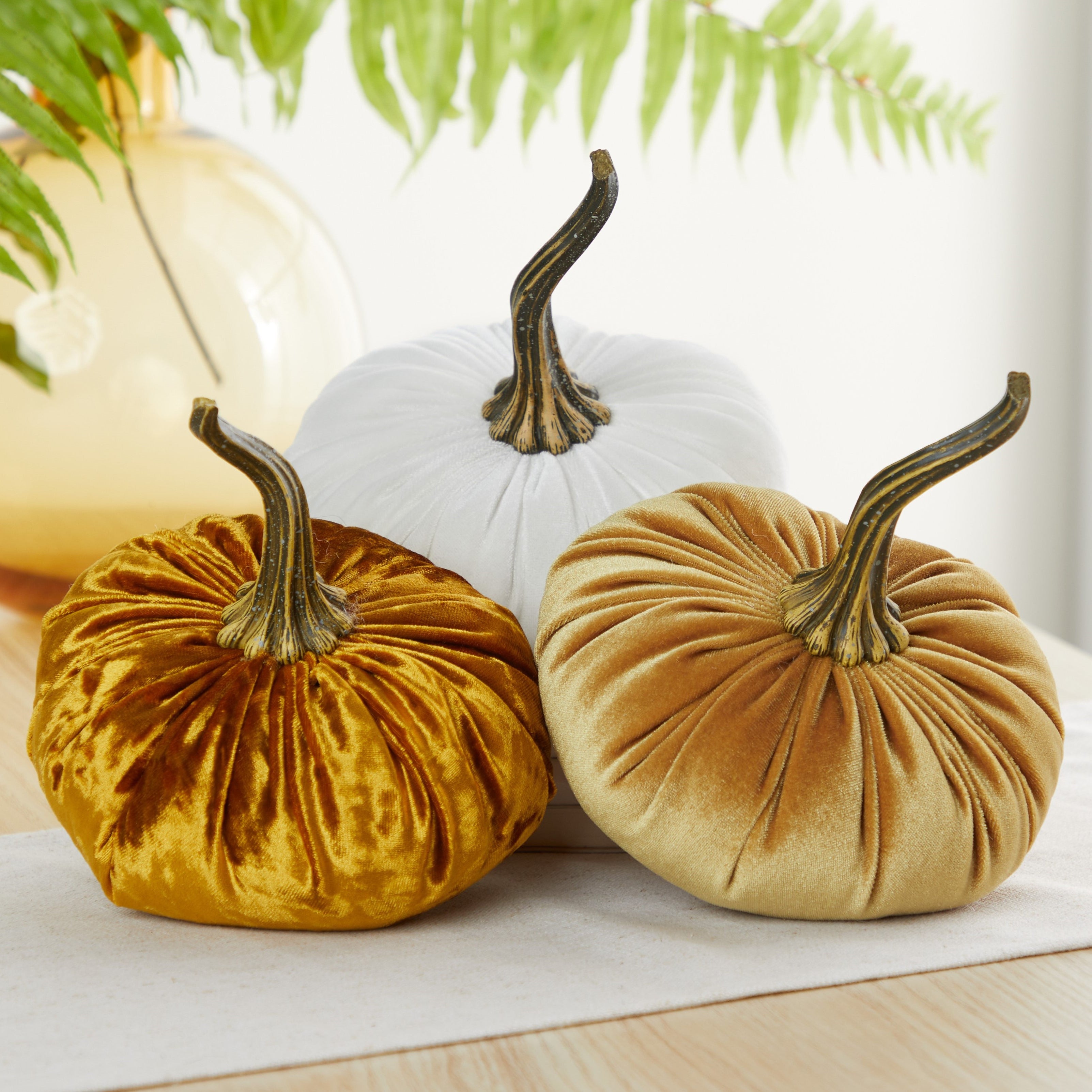 Large Velvet Pumpkins - Set of 3 in Luxe Medallion, Ivory, Gold– Your ...